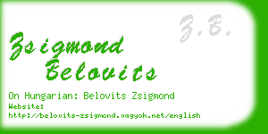 zsigmond belovits business card